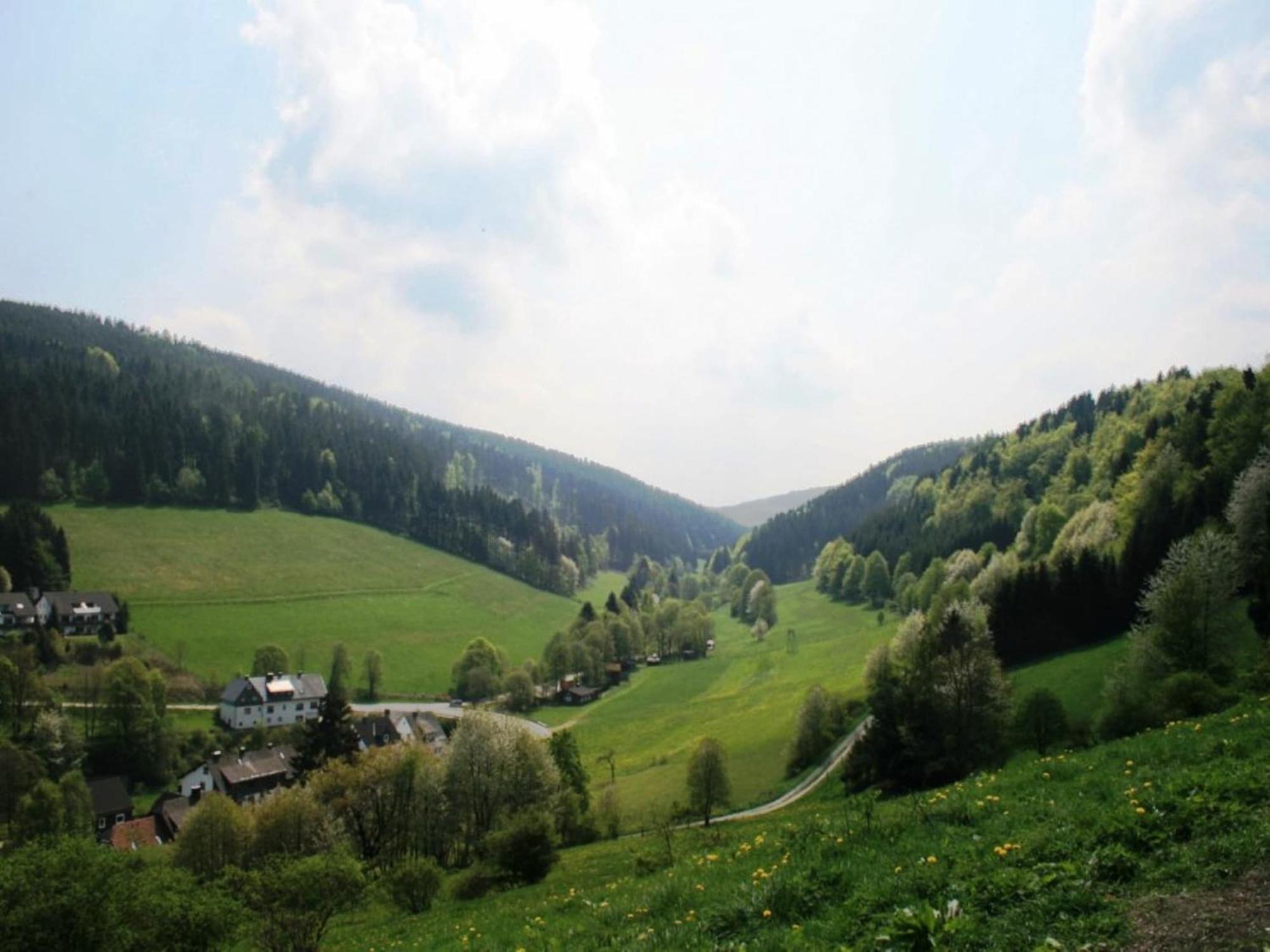 Large Holiday Home In Willingen With Private Garden And Several Terraces Kültér fotó
