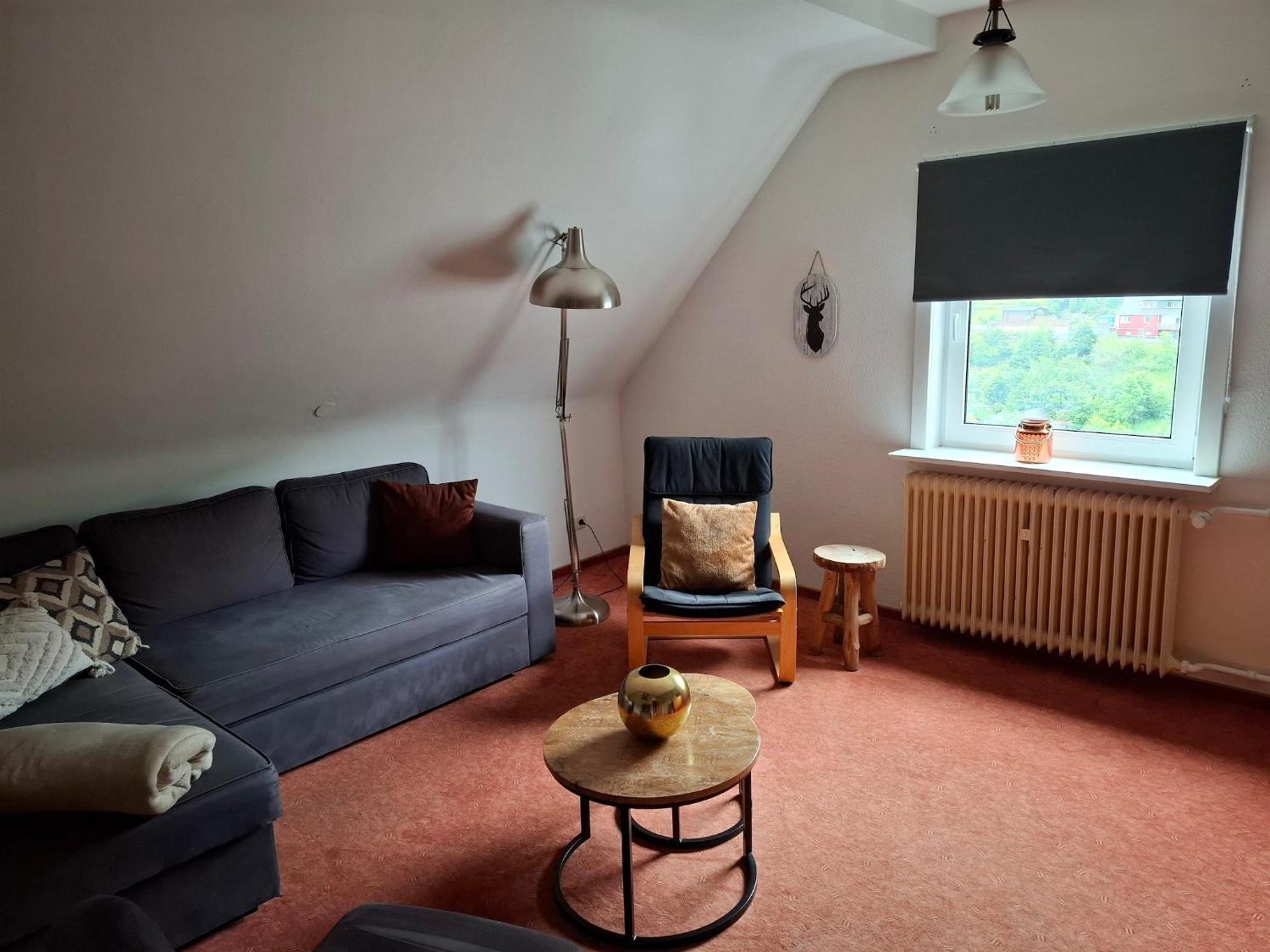 Large Holiday Home In Willingen With Private Garden And Several Terraces Kültér fotó